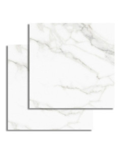 Calacatta Beige 51x51